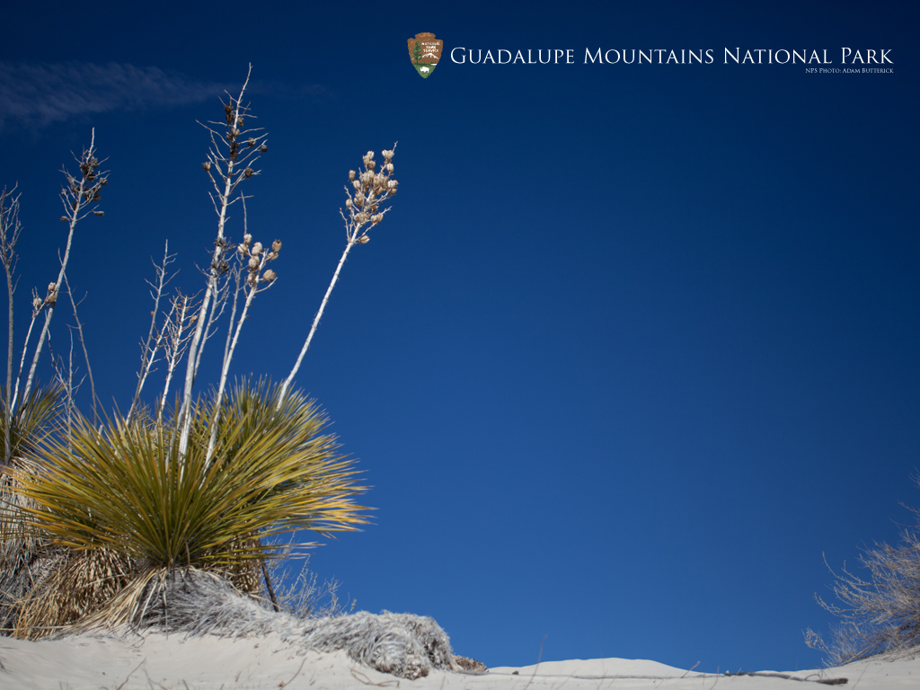 Wallpaper Guadalupe Mountains National Park U S