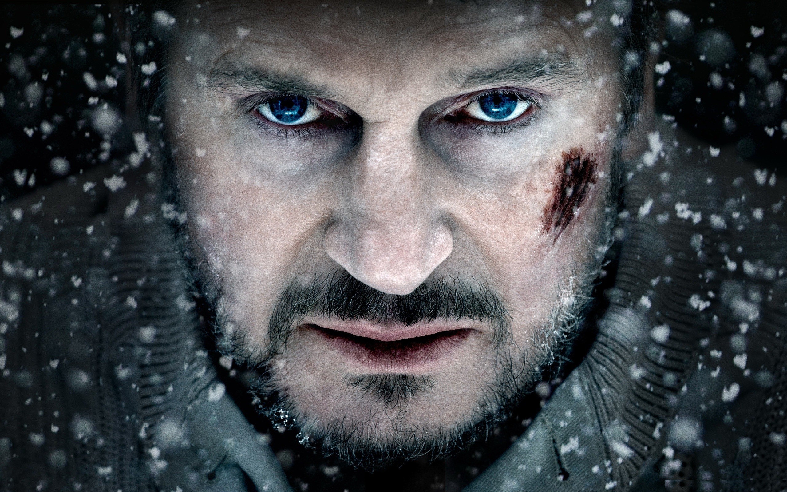 Liam Neeson Wallpaper