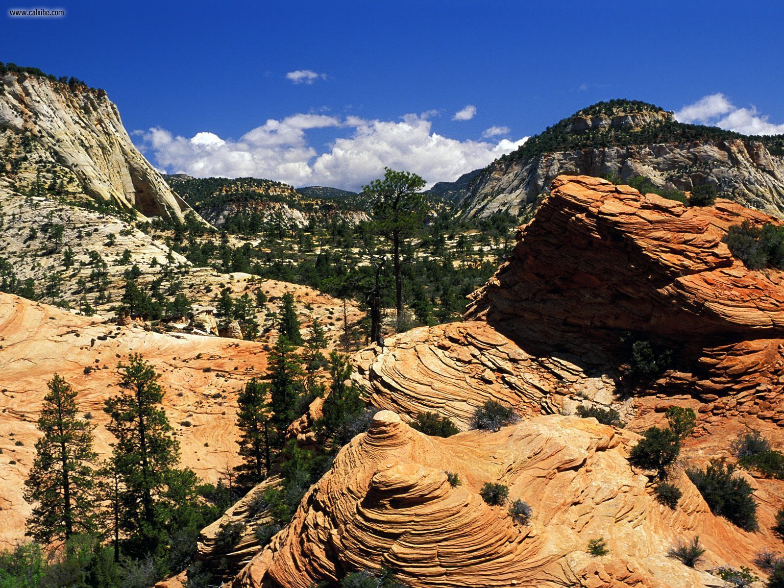 Swirling Sandstone Formations Zion National Park Utah In Full Screen