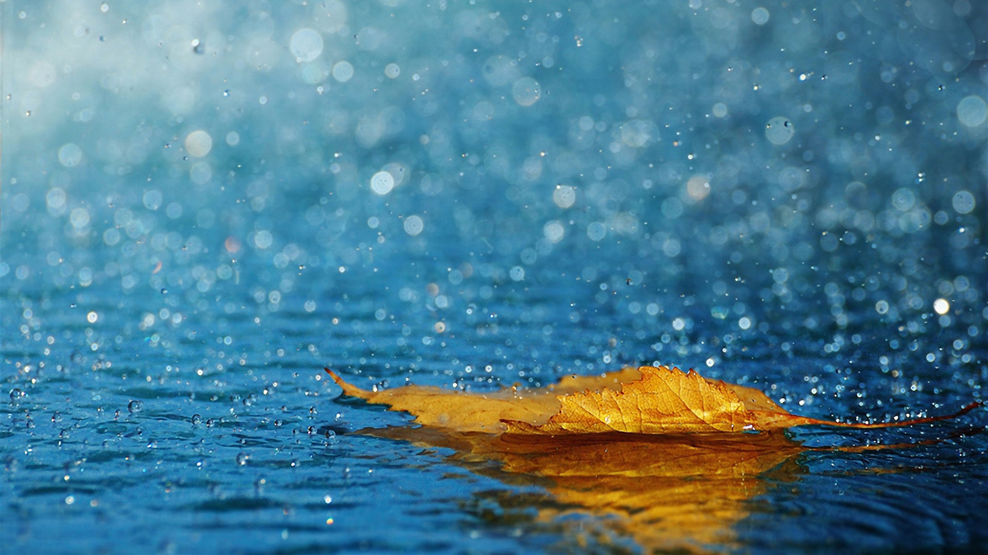 Summer Desktop Background HD Jpg