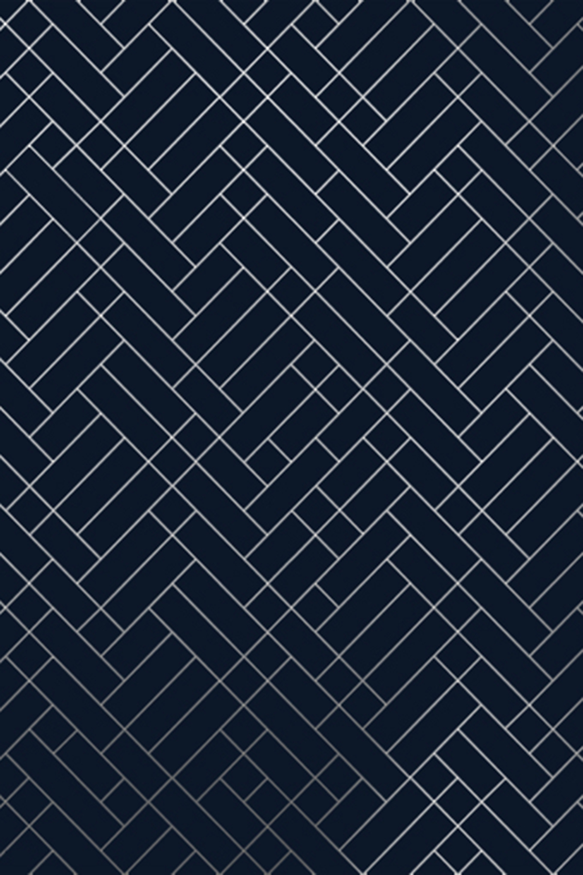 🔥 [45+] Navy and Silver Wallpapers | WallpaperSafari