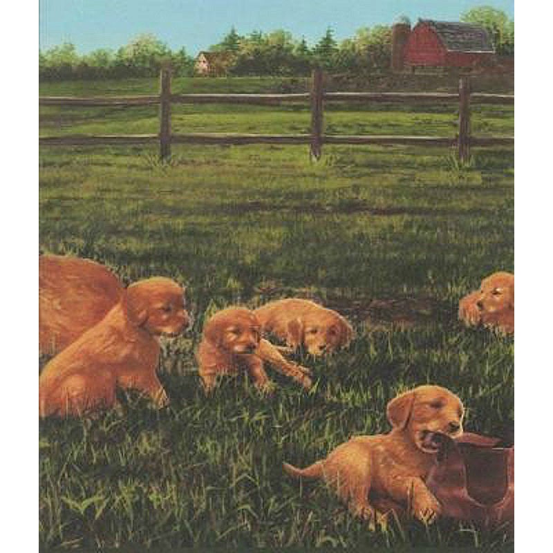 Wallpaper Border Animals Nature Golden Retriever Mother Pups