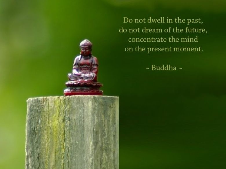 The Law Of Attraction Buddha S Quotes Wallpaper