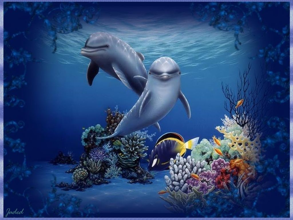 Animal Colorful Coral Dolphins Fish Mammle Ocean Water