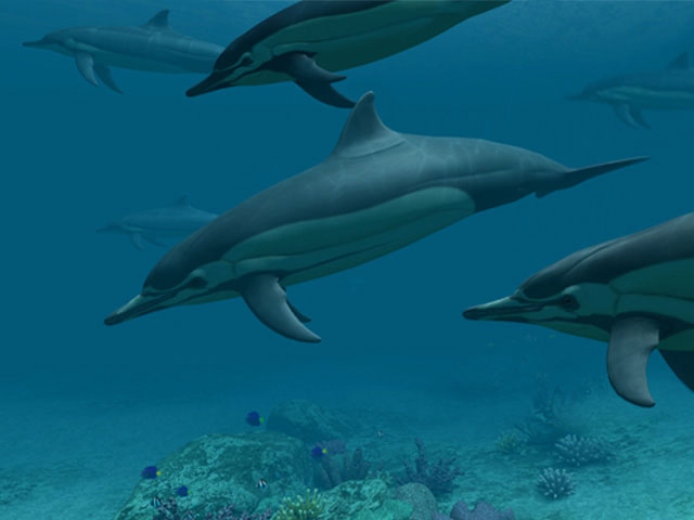 3d Screensavers Dolphins Deep Sea Ocean Screensaver