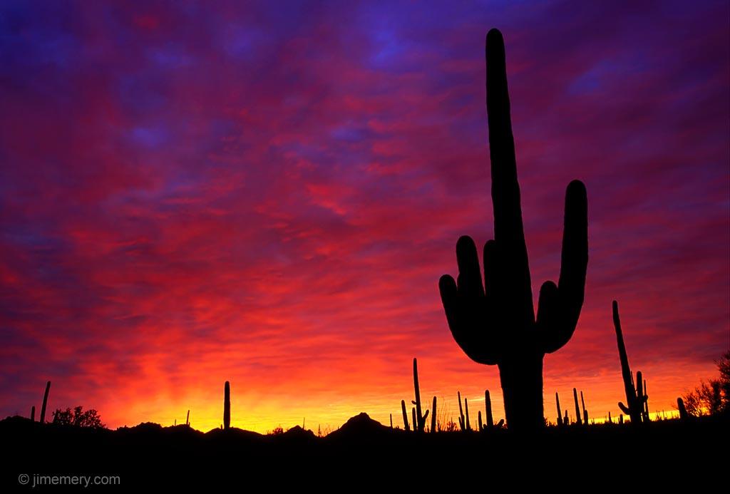Free download 49] Arizona Desert Desktop Wallpaper on [1024x694