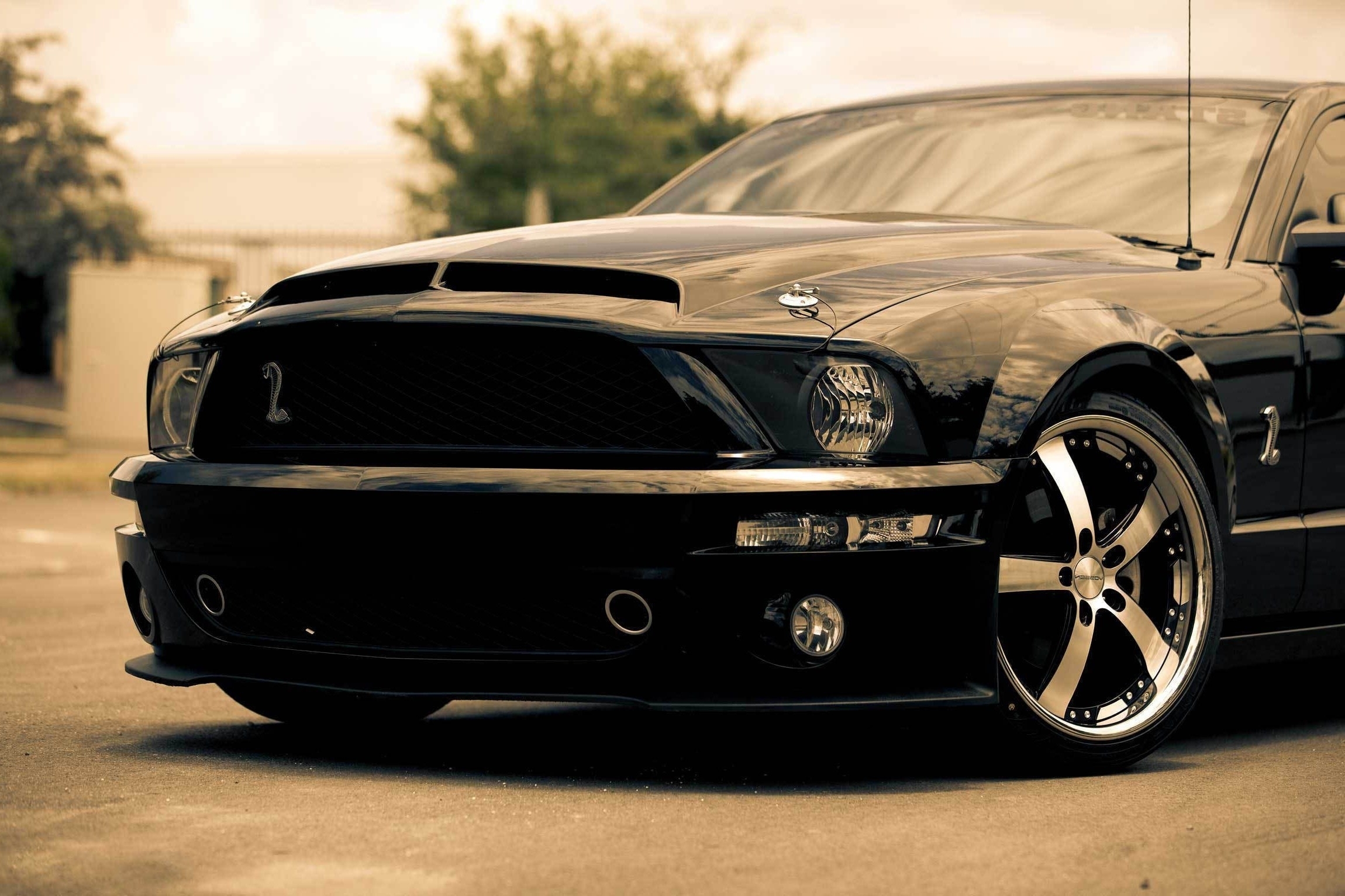  cars vehicles ford mustang knight rider 2300x1533 wallpaper download