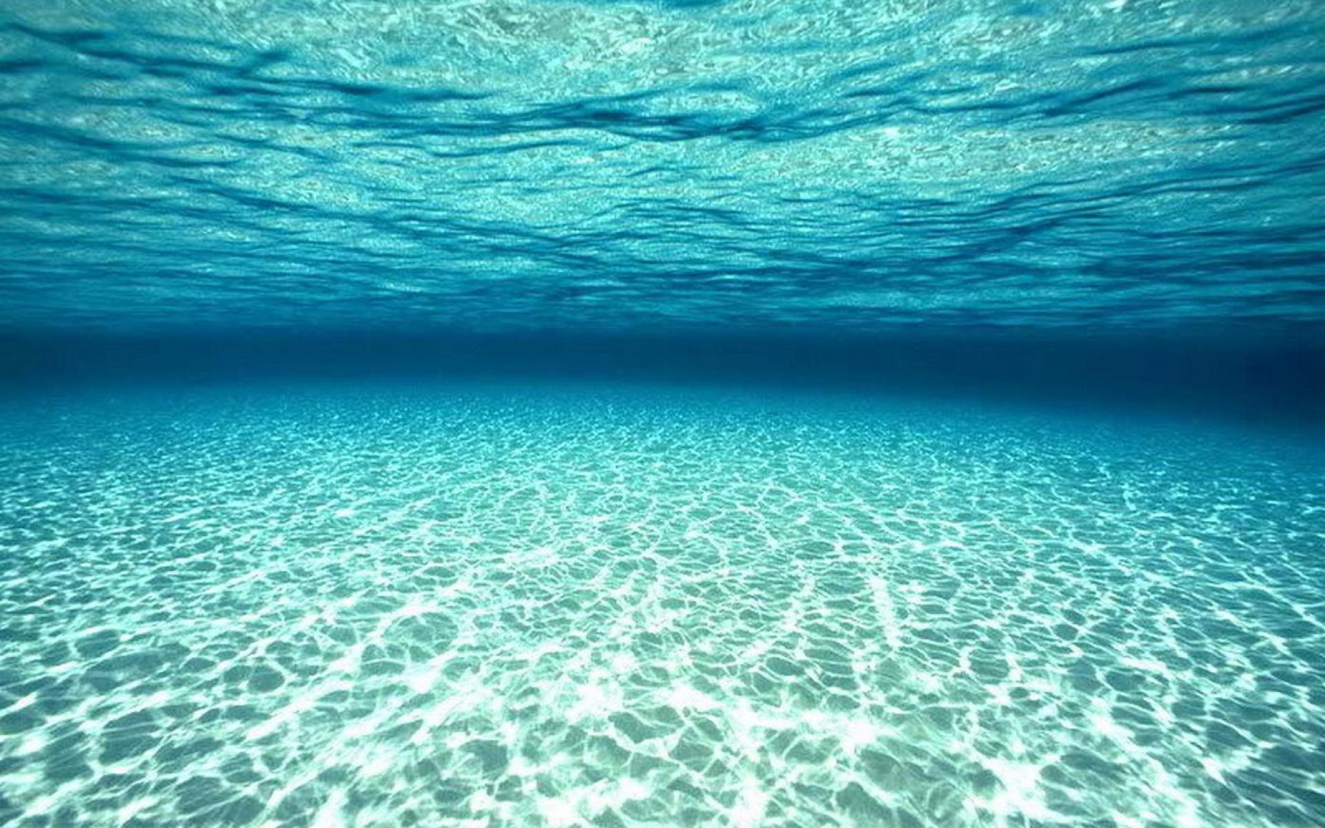 Ocean Underwater Wallpaper HD
