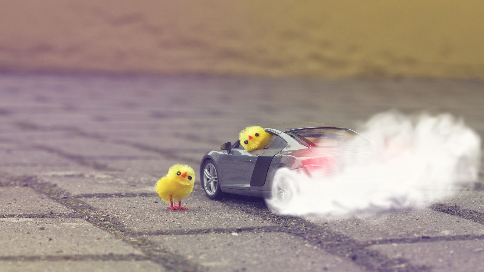 Chicken Toys Drift Car Best Wallpaper
