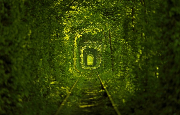 Wallpaper Tunnel Of Love Nature Tramways Ukraine
