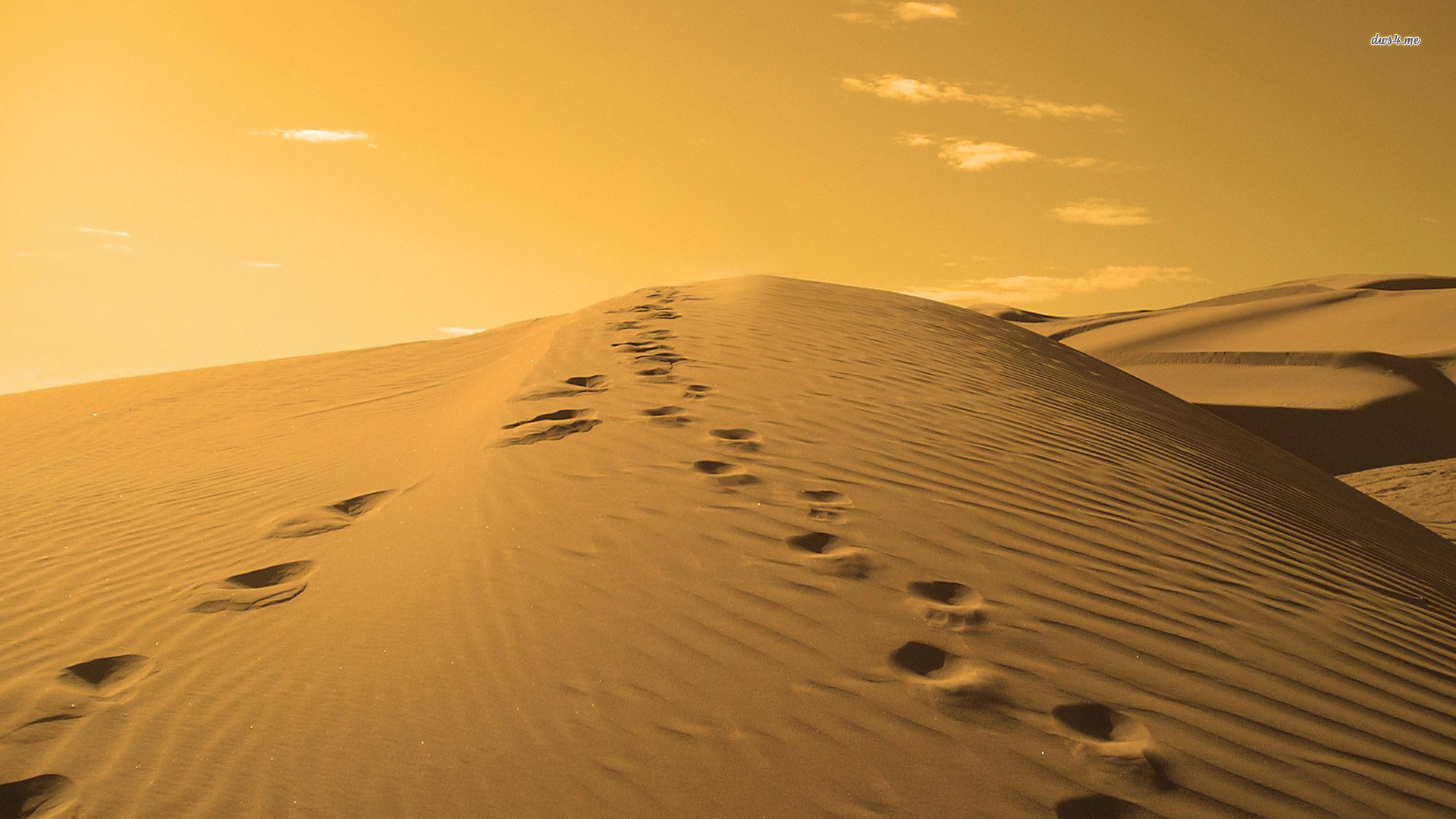 Footprints On A Sand Dune Wallpaper Nature