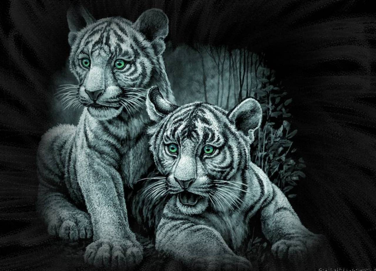 White Tiger Background Free Backgrounds for