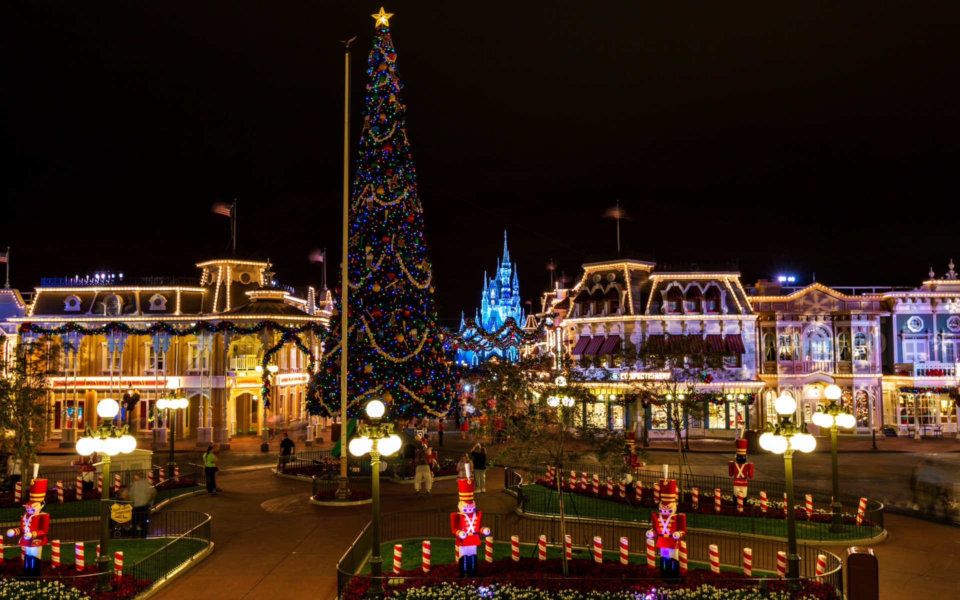 Large Christmas Tree In Disneyland Widescreen And Full HD Wallpaper