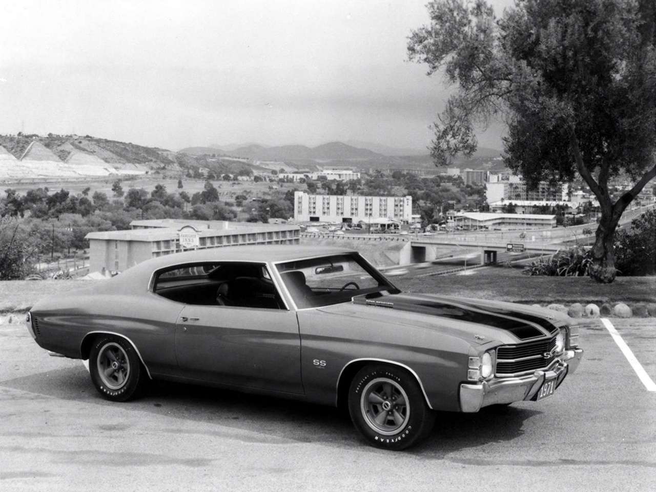 1969 Chevrolet Chevelle Ss 396 Wallpaper Wallpapers Backgrounds 1280x960