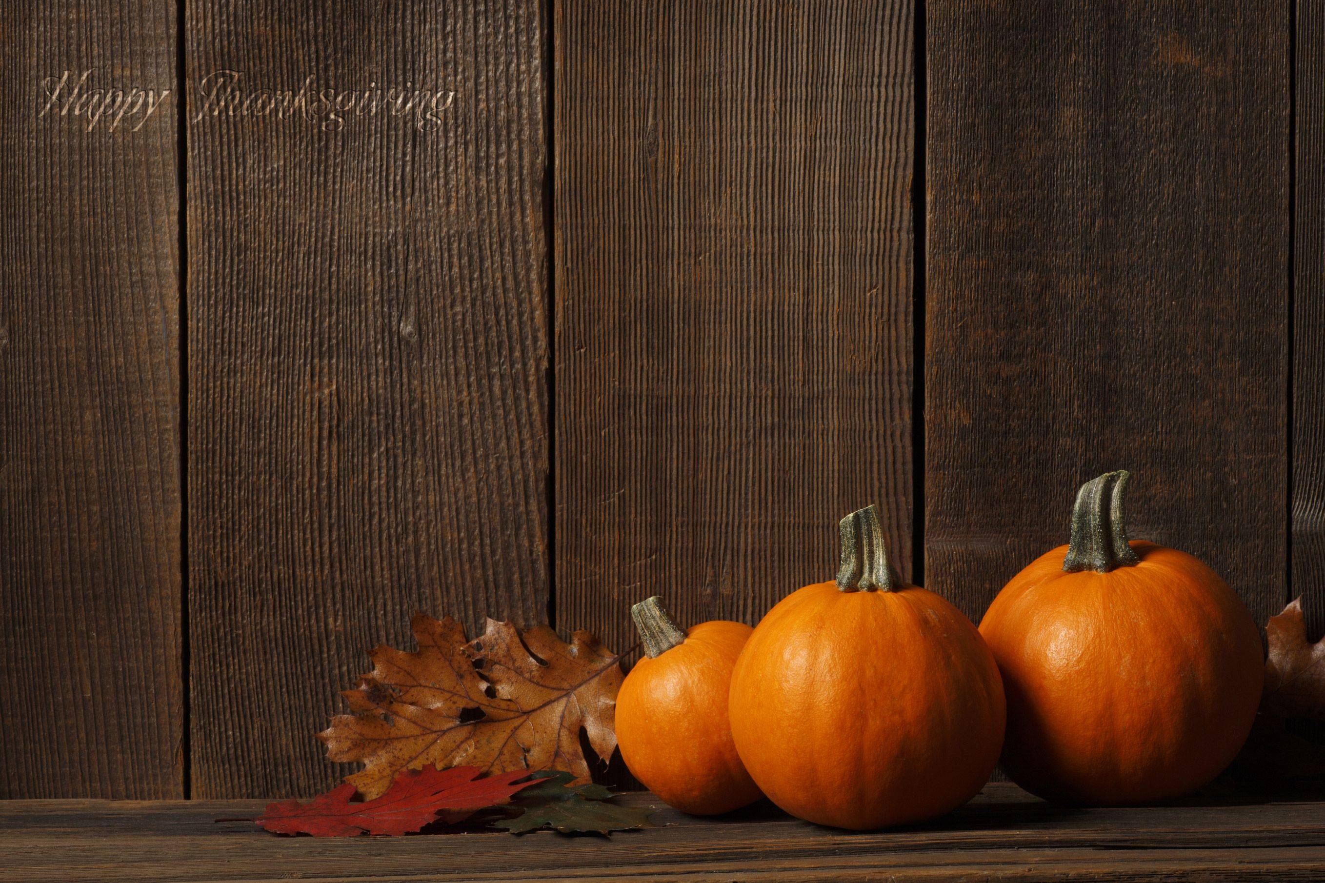 Thanksgiving Pumpkin Wallpaper Top