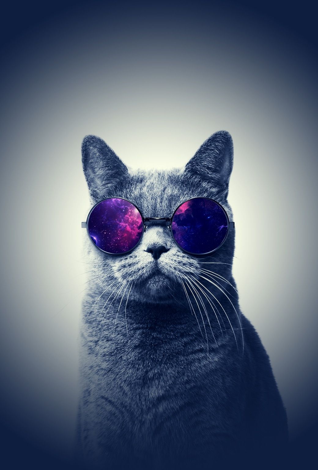 Cat Wallpaper Hipster Cool Cats