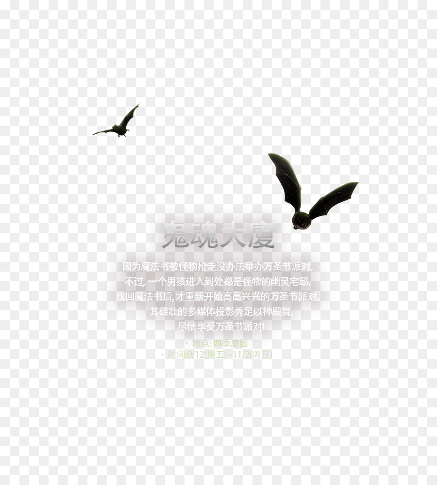 Beak Desktop Wallpaper Puter Feather Font Png