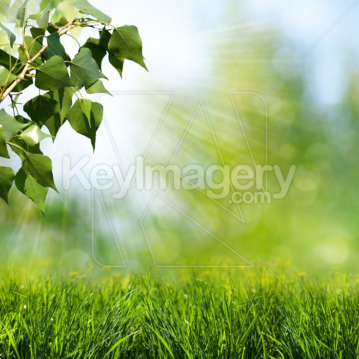 Sun Beam Abstract Spring And Summer Background Photo By