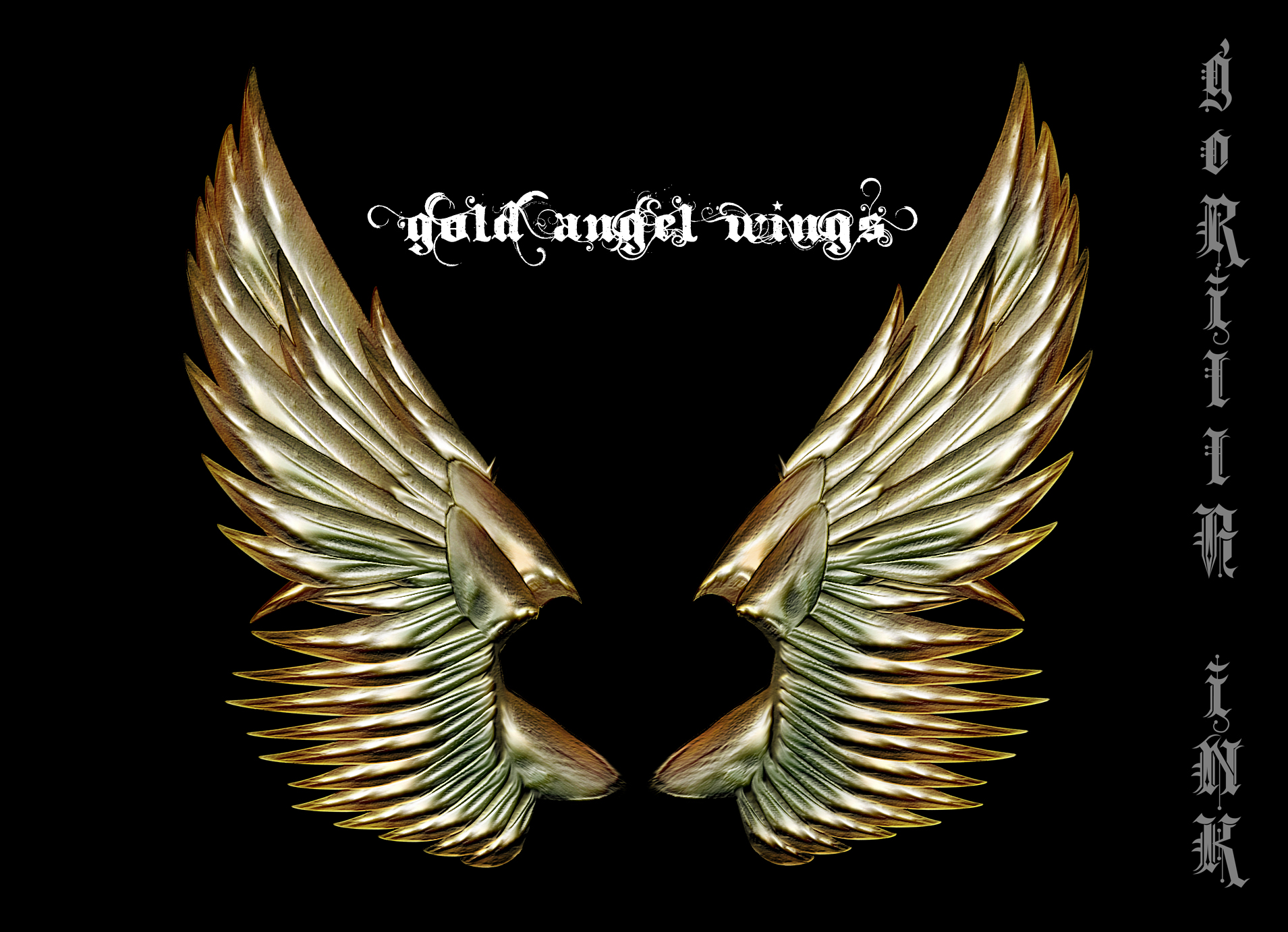 Gold Angel Wings By Gorilla Ink