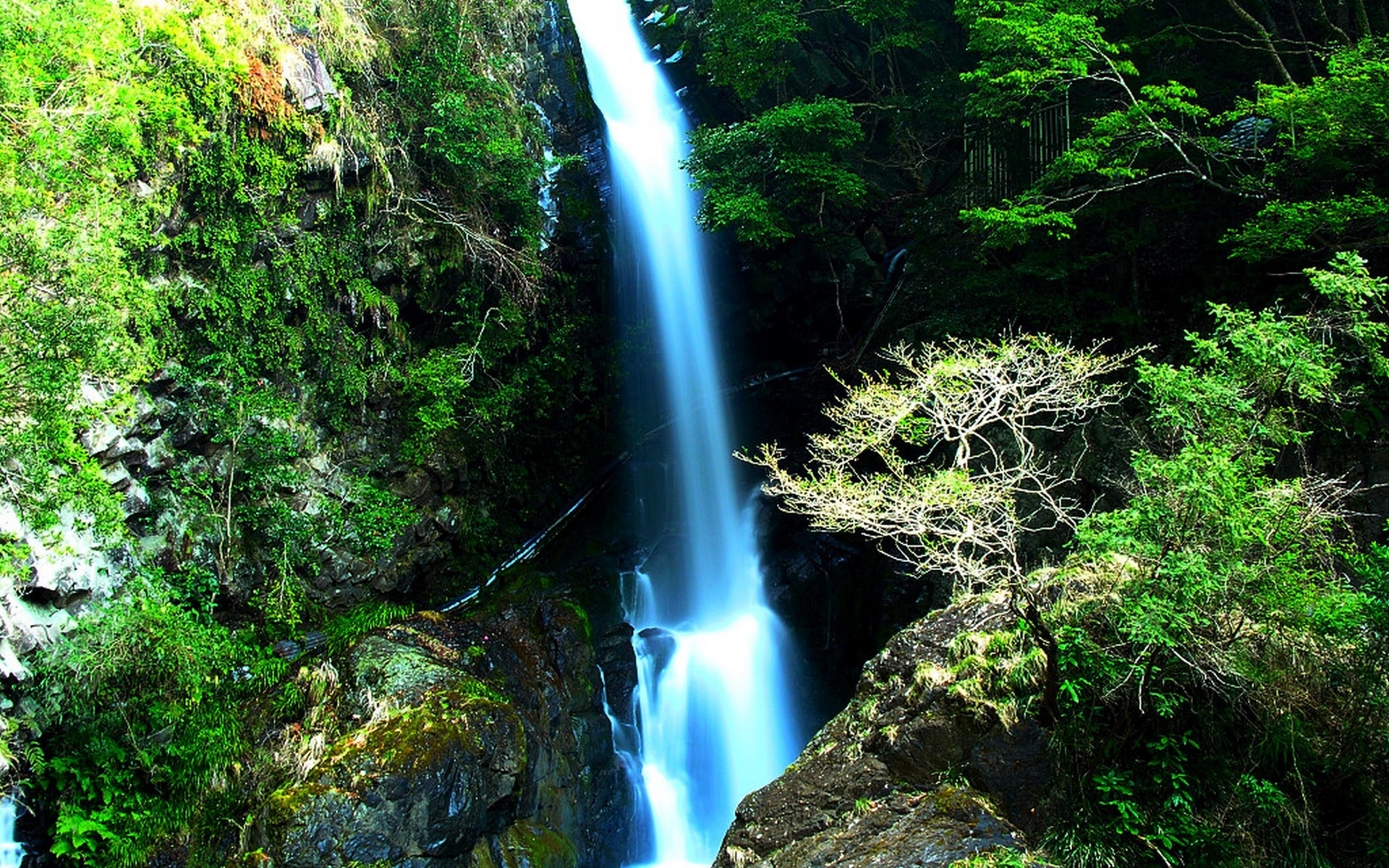 Wallpaper Org Archives Japan Nature Forest Waterfalls