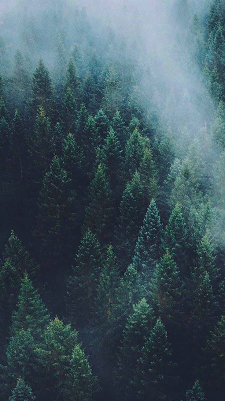 Ozren Adl Kullan C N iPhone Wallpaper Panosundaki Pin
