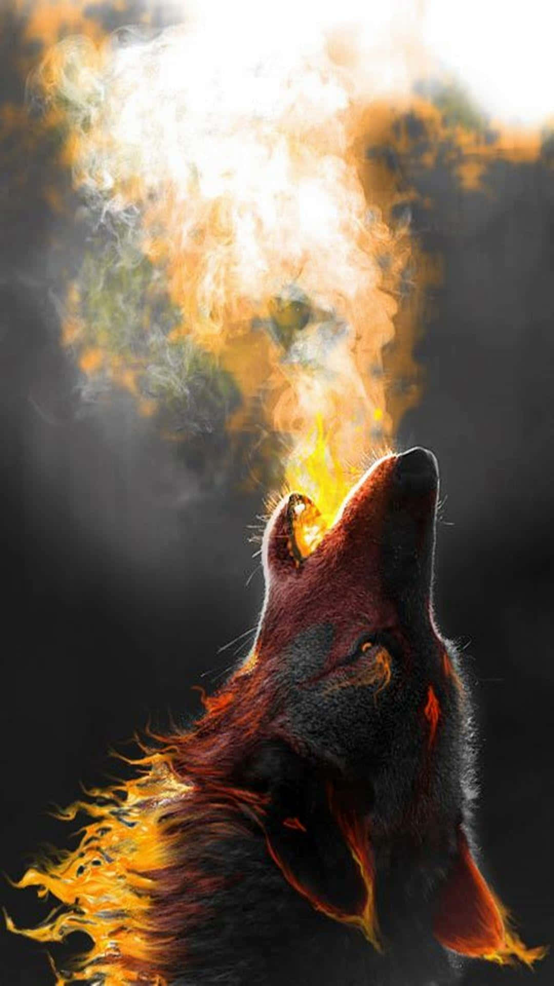 Wolf Phone Wallpaper