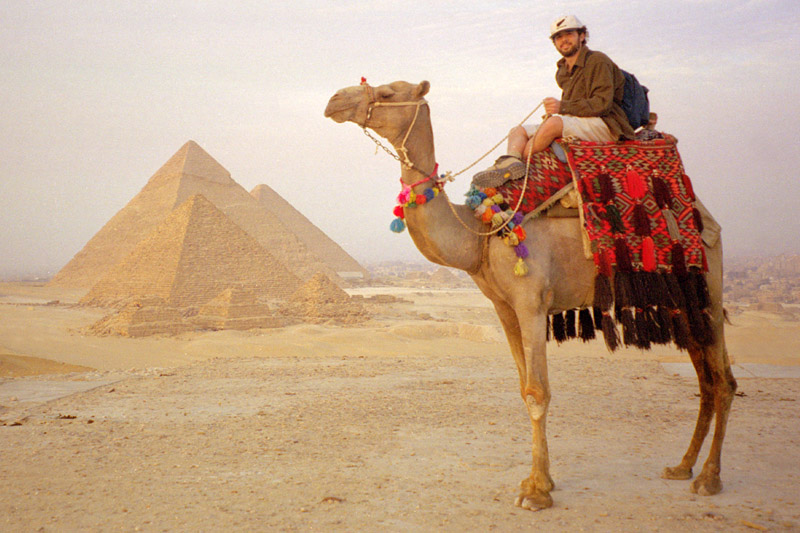 Camel Wallpaper Jpg