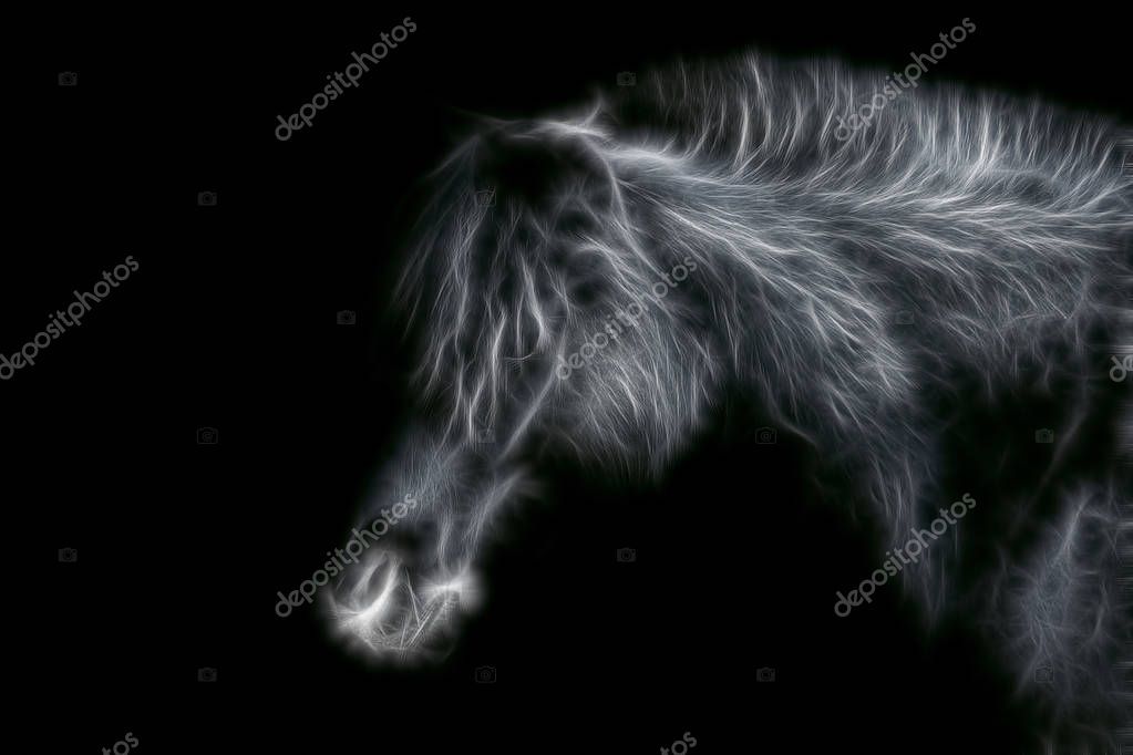 Fractal Image Homemade Black Horse Close Contrasting