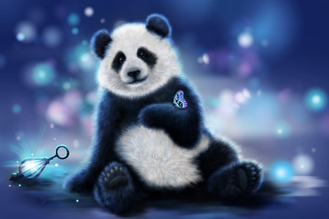  on Cute Panda Hand Animated Wallpaper wallpaper Best HD Wallpapers 1050x700