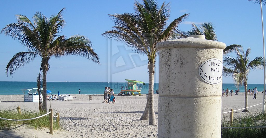 Miami Beach Desktop And Mobile Wallpaper Wallippo