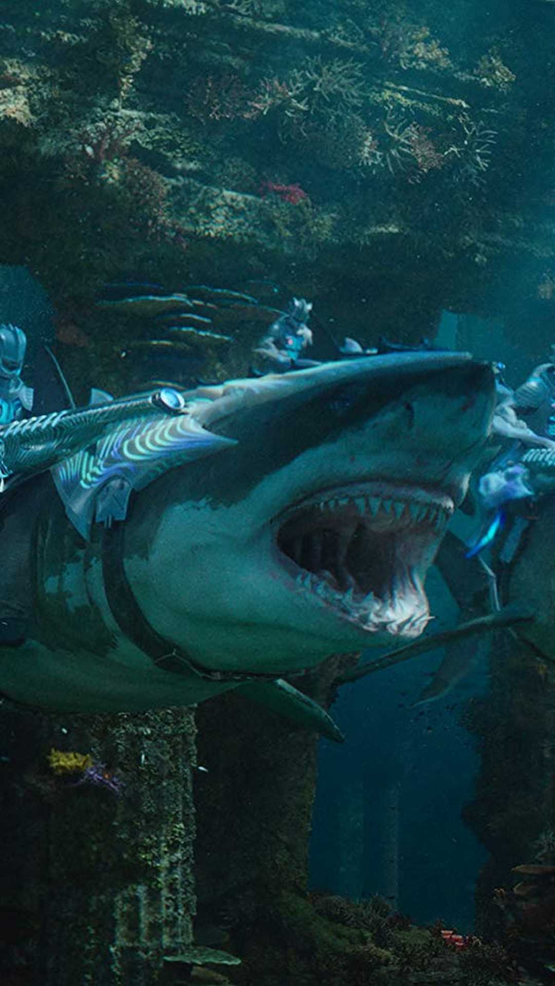 iPhone Shark Wallpaper