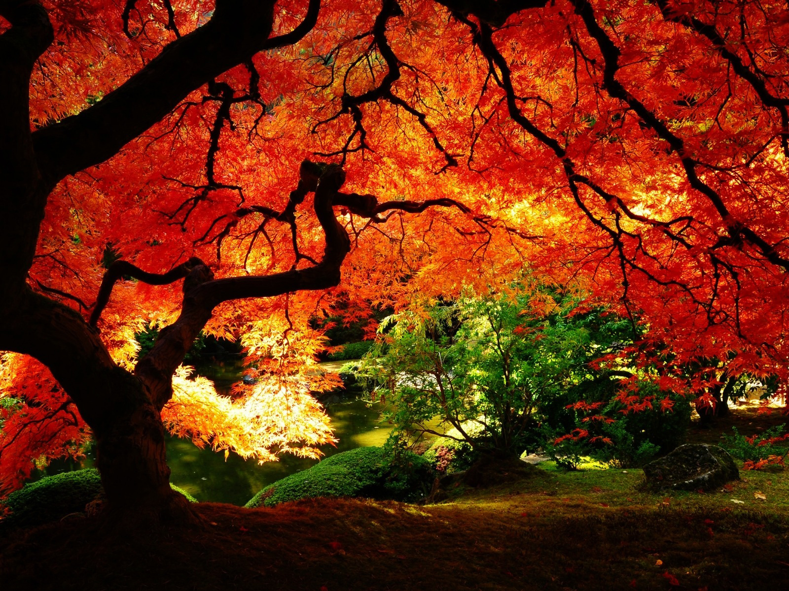 Beautiful Fall Landscapes HD Wallpaper