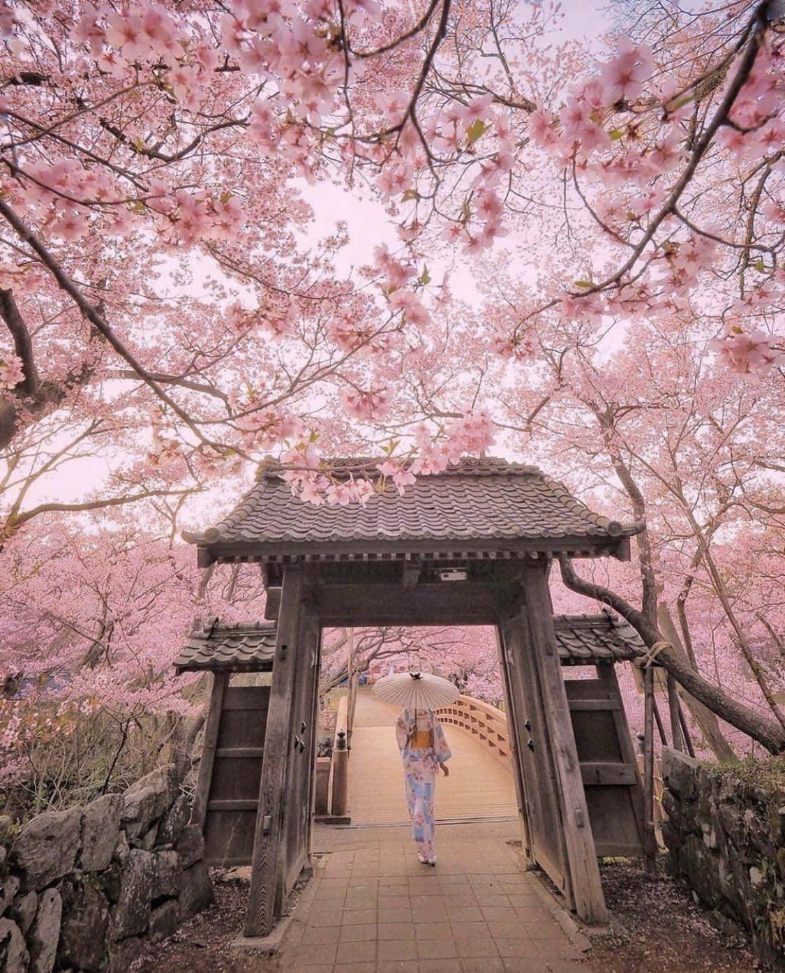 Japanese Pink Wallpaper