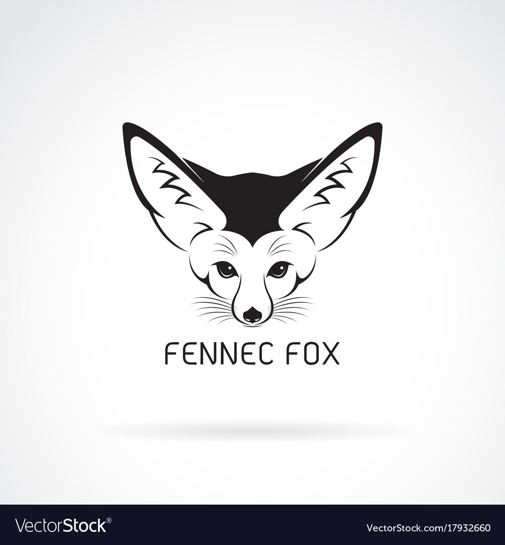 Fennec Fox Head On A White Background Wild Vector Image