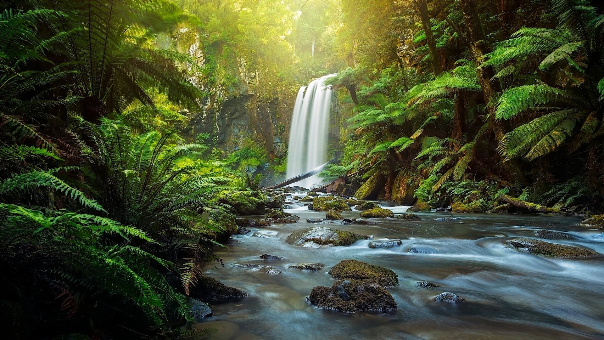 Hopetoun Falls Aire River Great Otway National Park The Otways