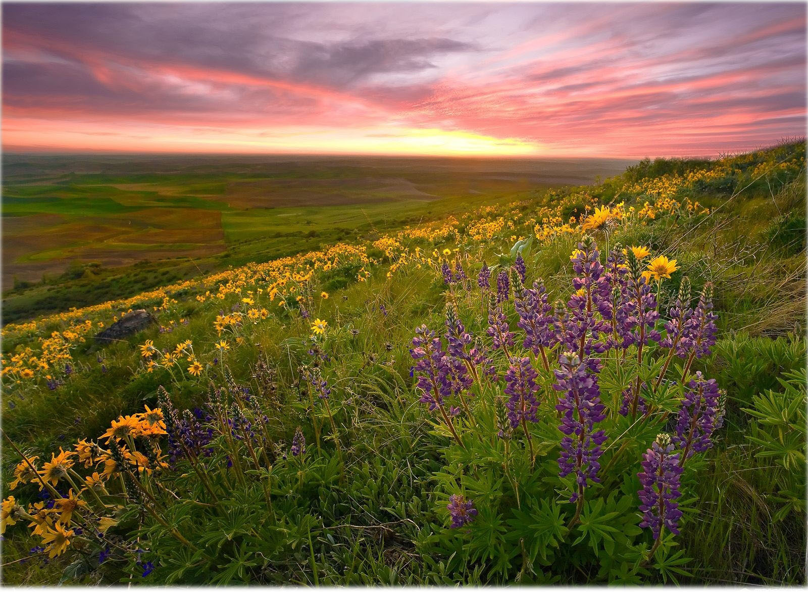 Natural Scenery Desktop Wallpaper
