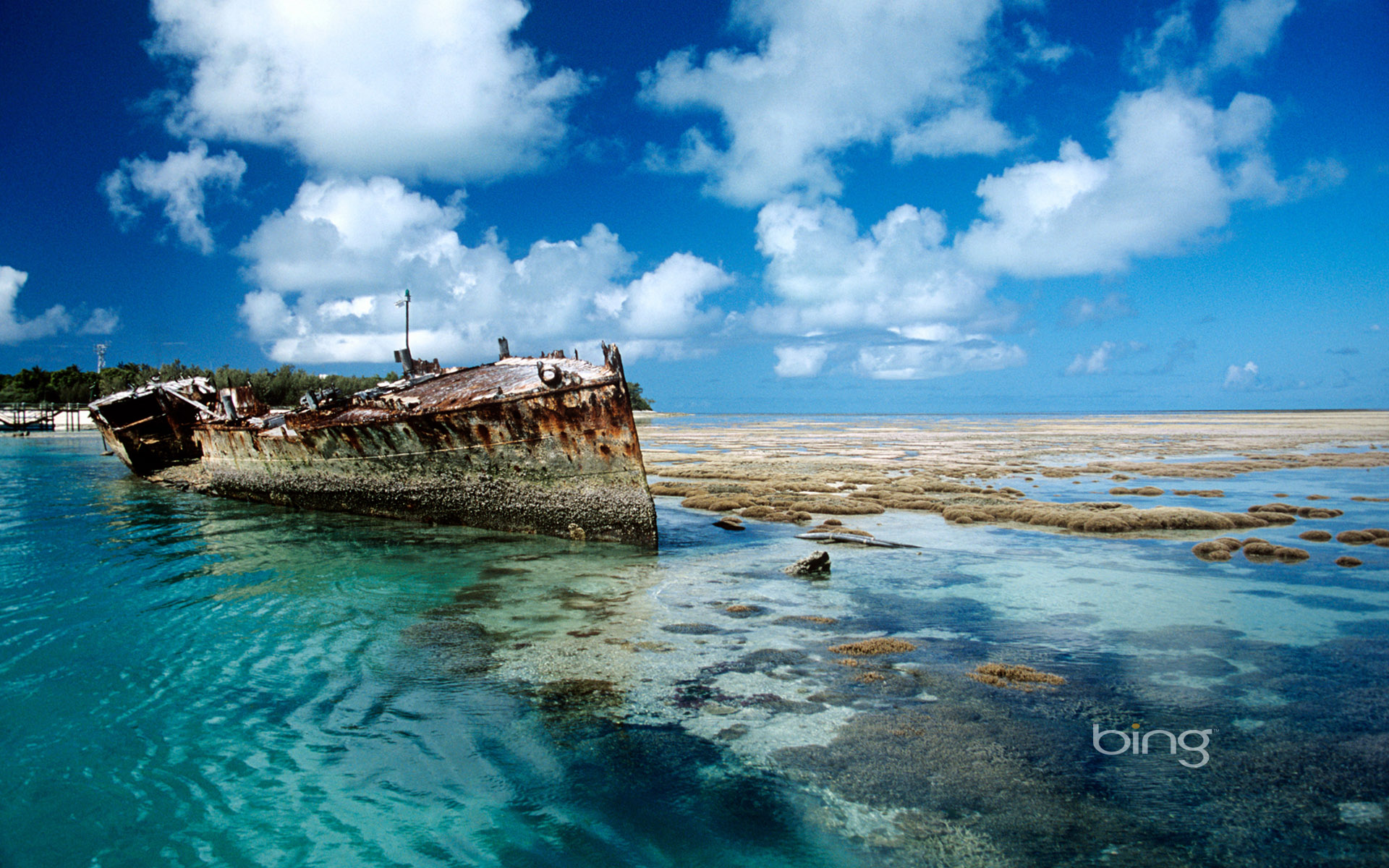 Shipwreck On Heron Island Australia HD Wallpaper