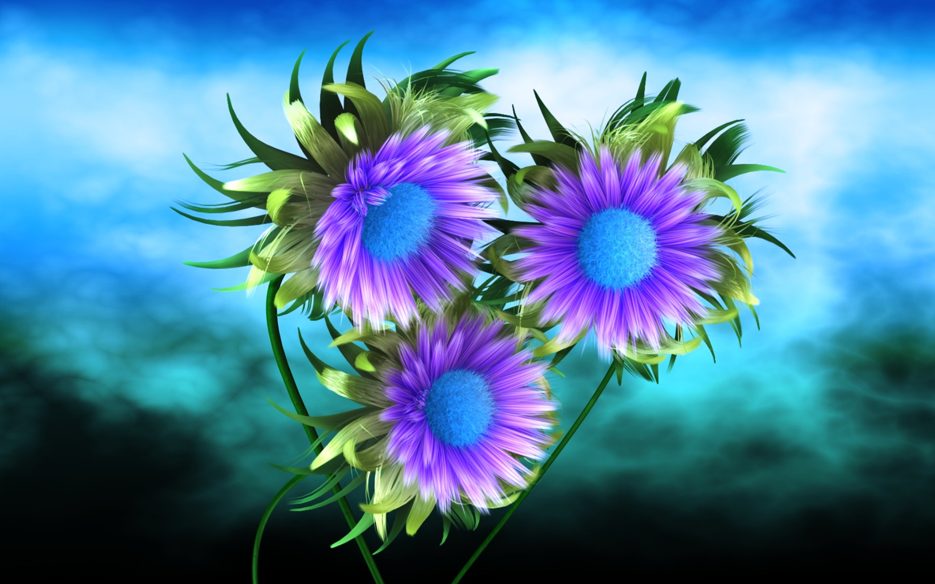 Vh Wallpaper Sorted Flowers And Rings 3d