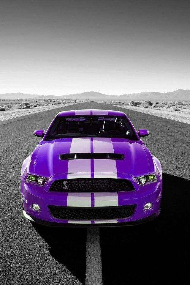 Sandi Williams On I Love Purple Ford Mustang Shelby Gt500