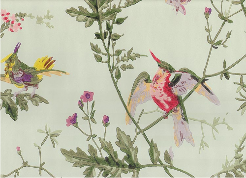 Cole And Son Hummingbird Wallpaper Only On One Wall The Other Walls