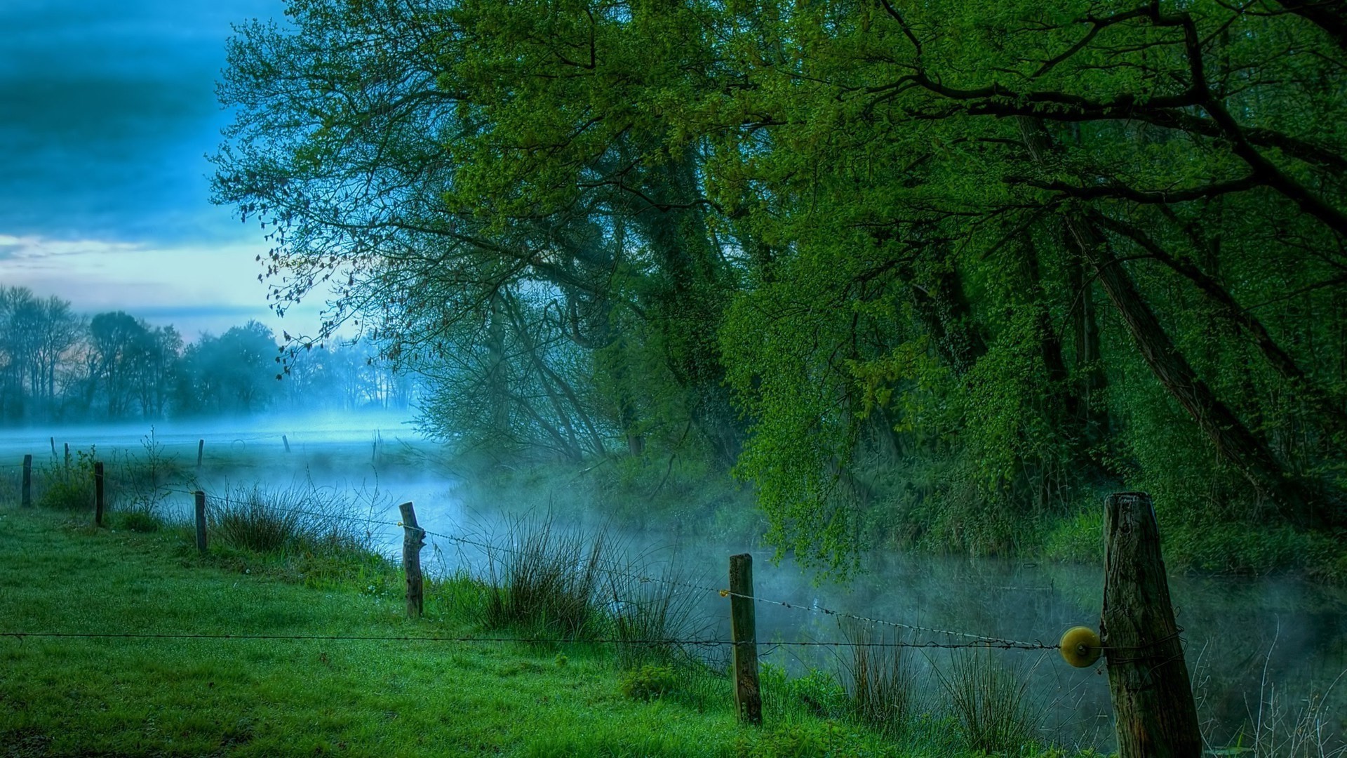 Serene Misty Morning by the River