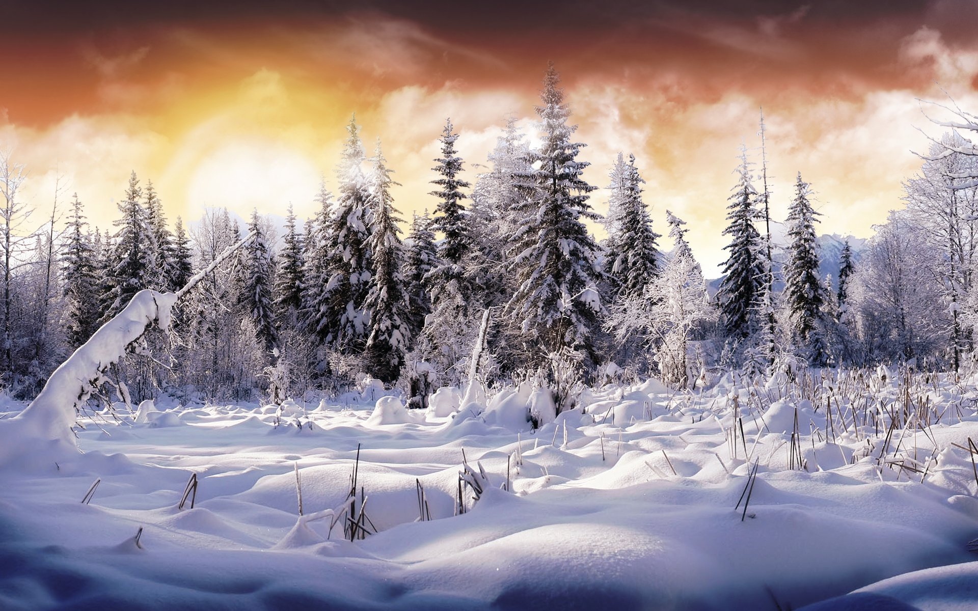 Winter HD Wallpaper Background Image