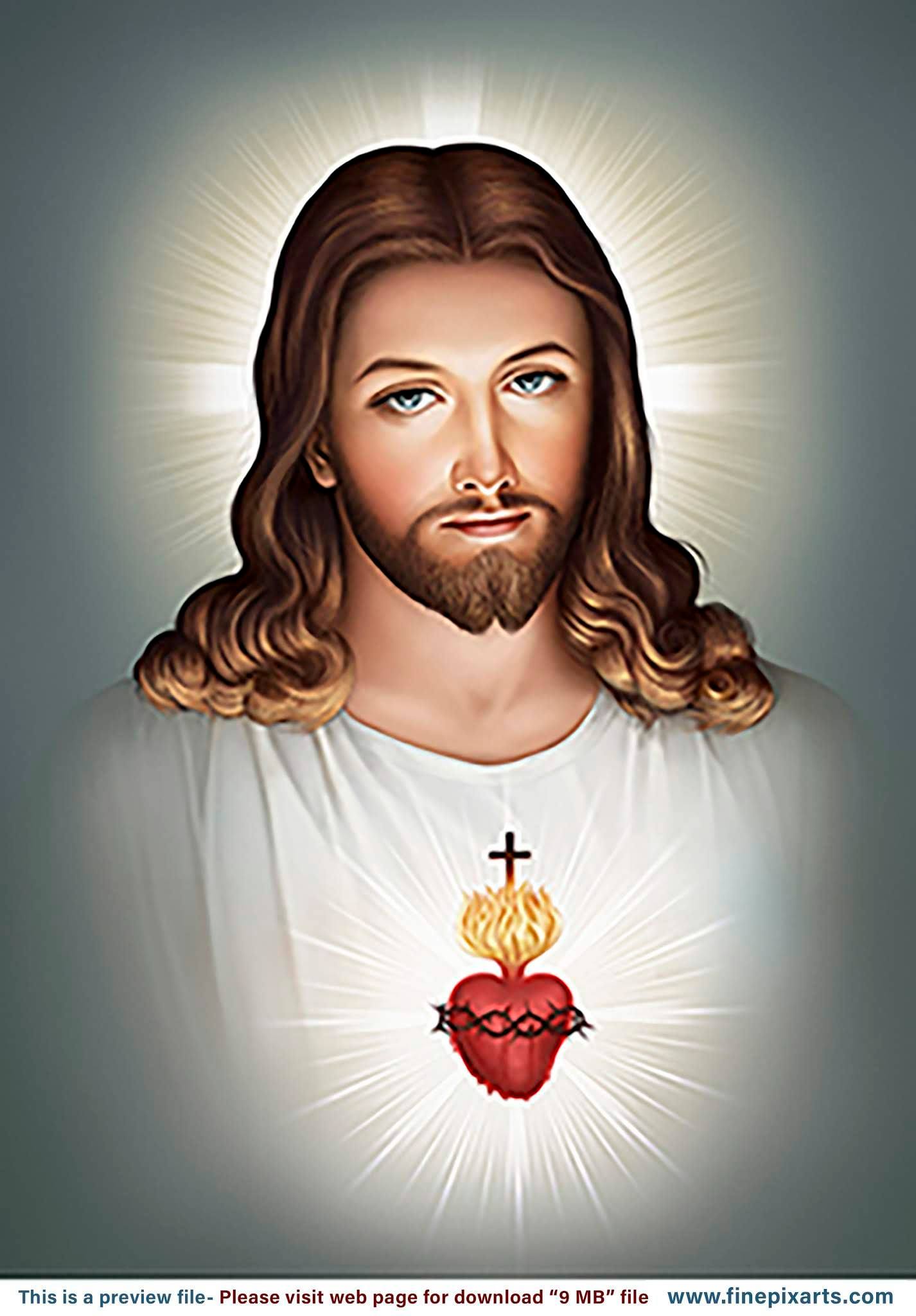 St Michael Catholic School   Most Sacred heart of Jesus on the