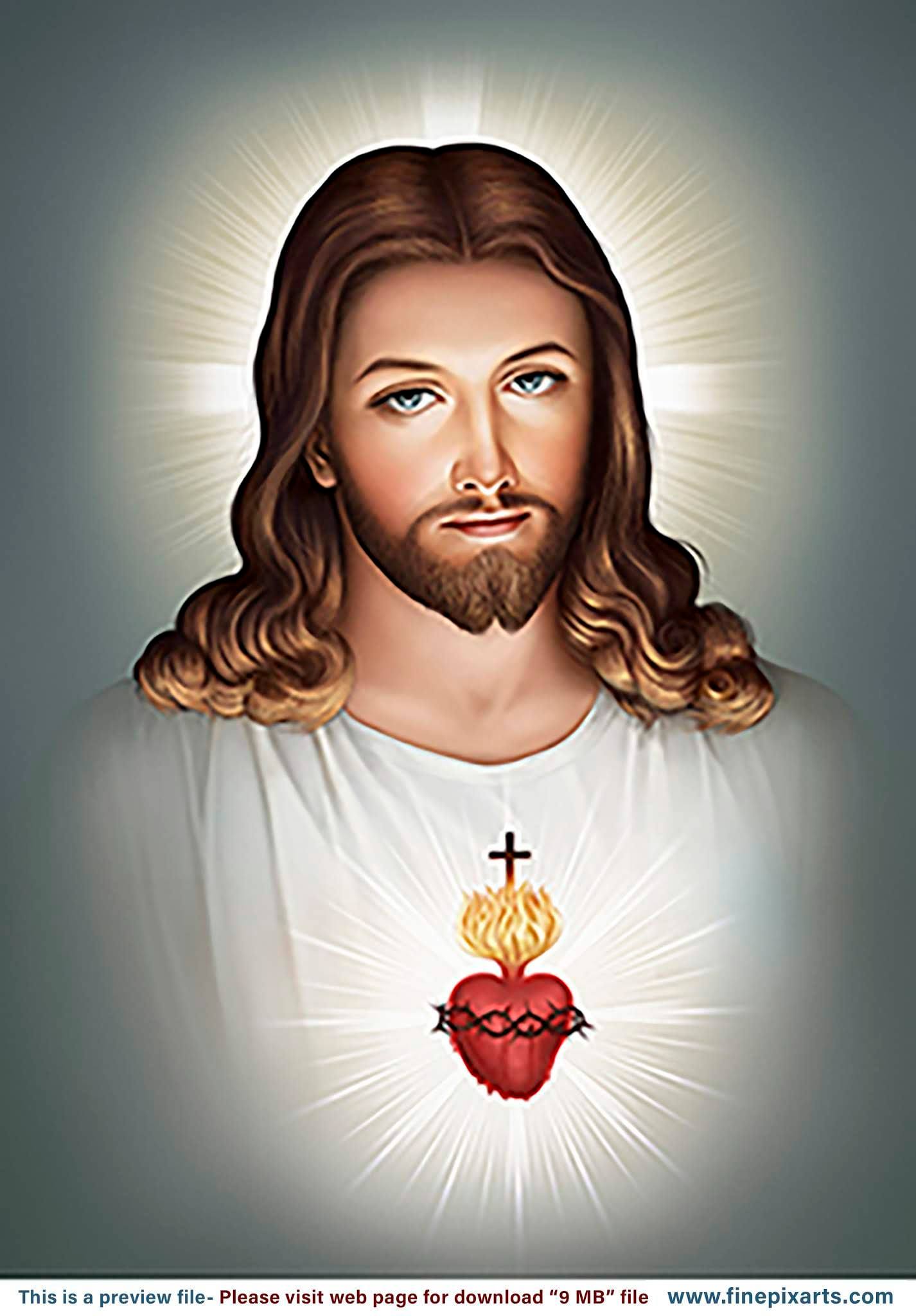  Download St Michael Catholic School Most Sacred Heart Of Jesus On The 