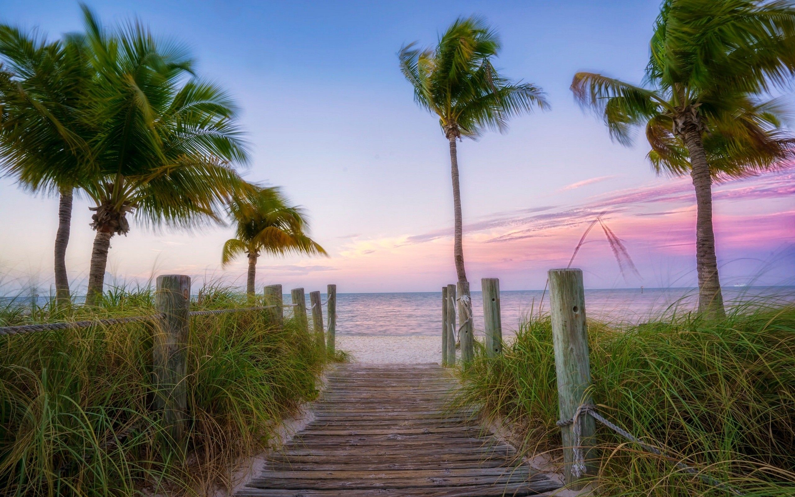 Florida Beach Wallpapers   Top Free Florida Beach Backgrounds