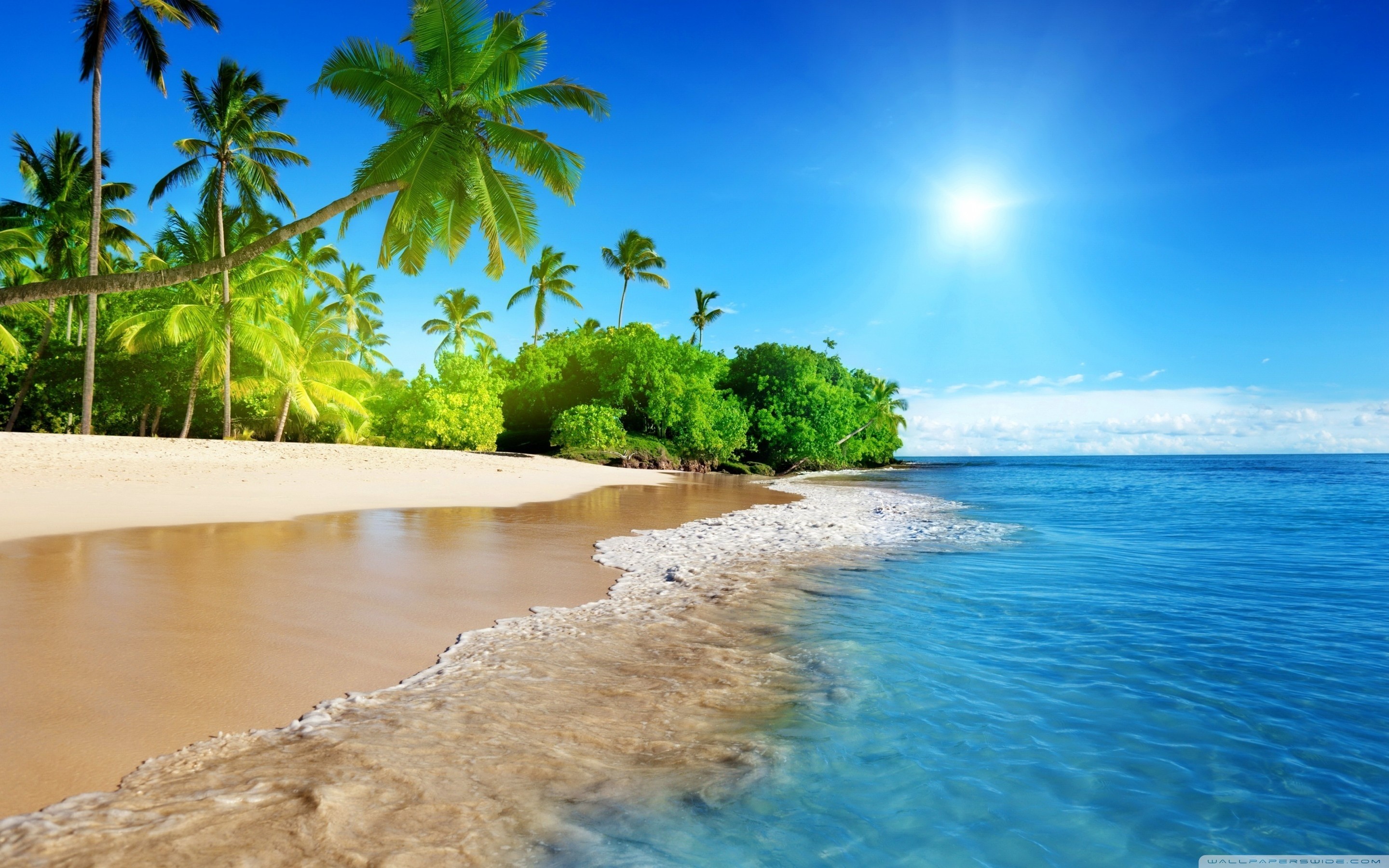 Tropical island beach with palm trees, white sand, and turquoise water under a sunny sky