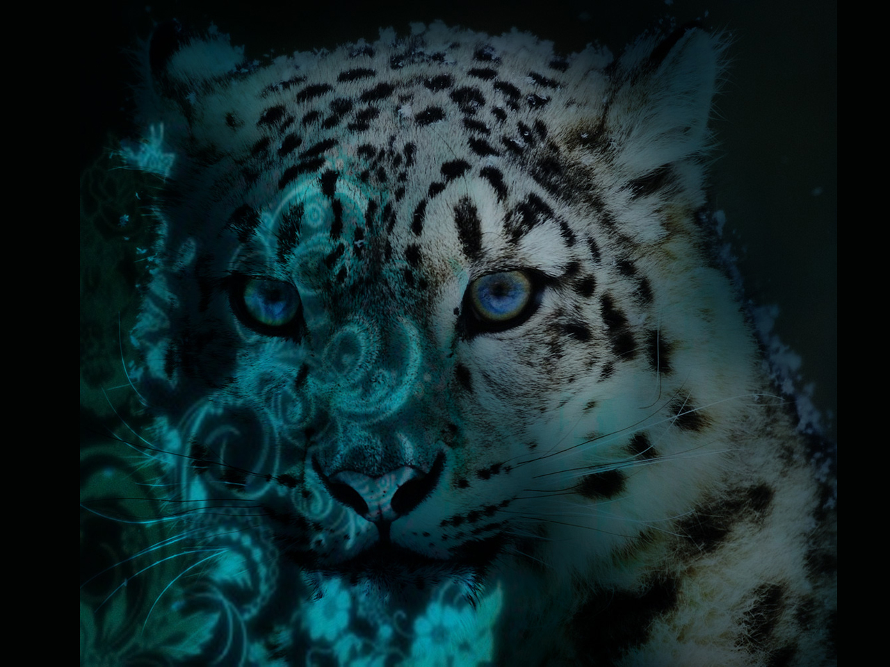 Cool Snow Leopard Background Image Amp Pictures Becuo