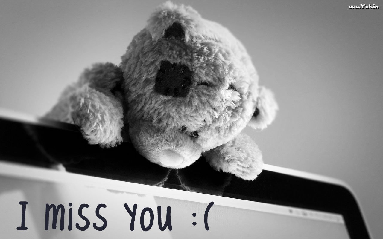 Free download Miss You Wallpapers Wallpapers [1280x800] for your ...