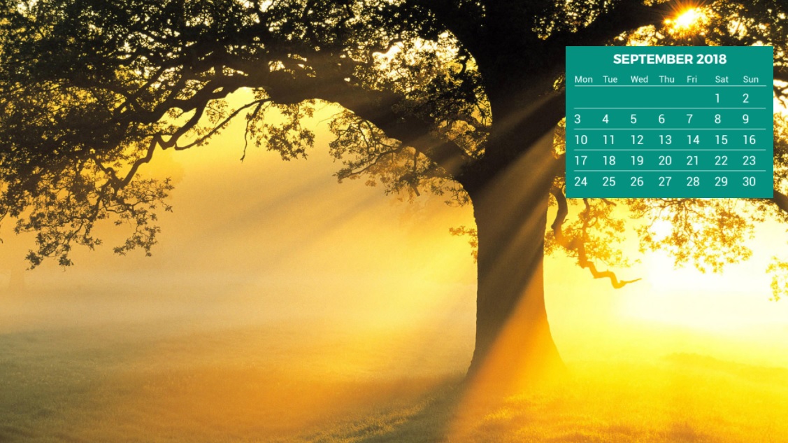 Calendar HD Wallpaper