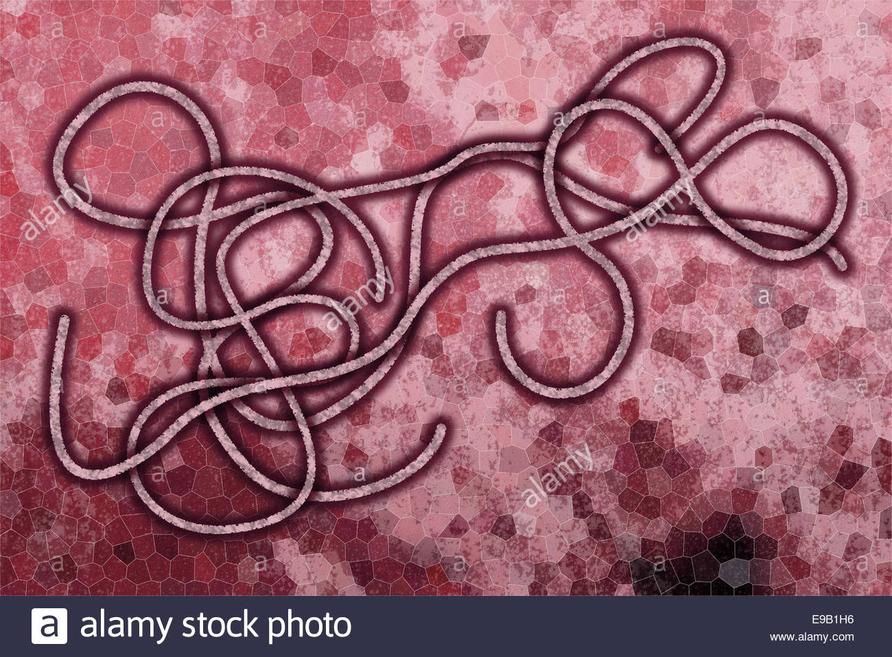 Graphic Representation Of The Ebola Virus On Pink Background Stock